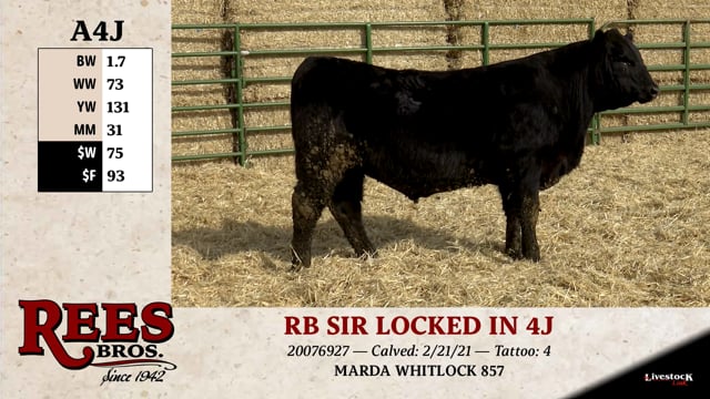 Lot #A4J - RB SIR LOCKED IN 4J