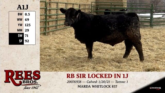 Lot #A1J - RB SIR LOCKED IN 1J