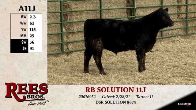 Lot #A11J - RBSOLUTION 11J