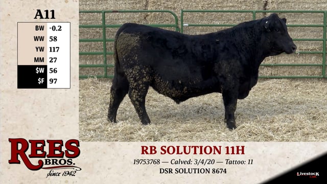 Lot #A11 - RB SOLUTION 11H