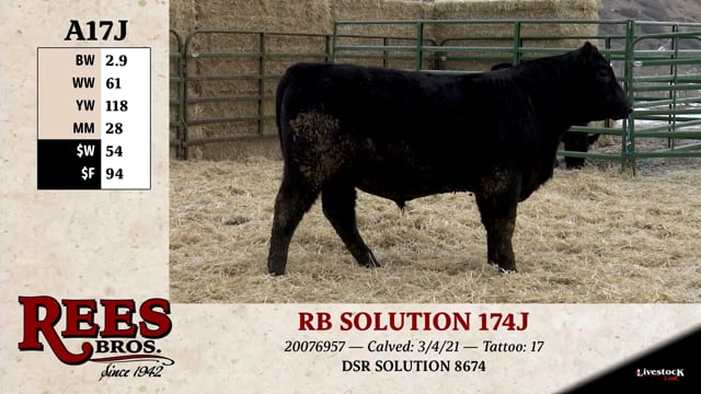 Lot #A17J - RB SOLUTION 174J