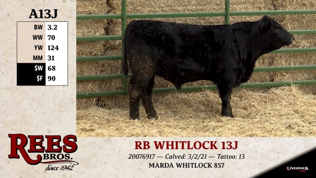 Lot #A13J - RB WHITLOCK 13J