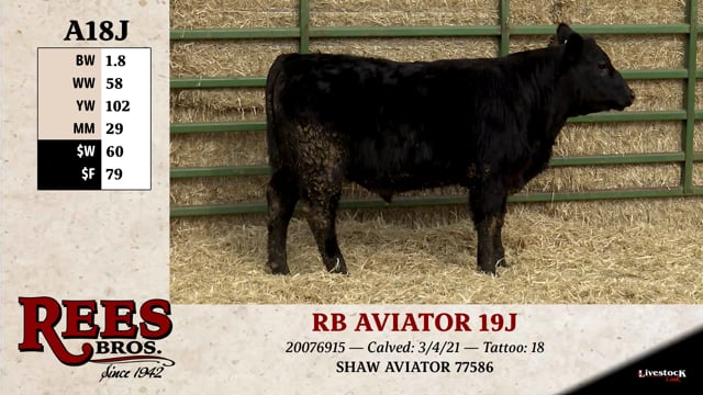 Lot #A18J - RB AVIATOR 19J