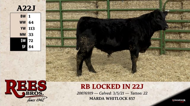 Lot #A22J - RB LOCKED IN 22J