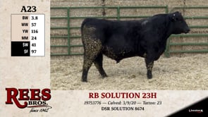 Lot #A23 - RB SOLUTION 23H