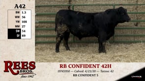 Lot #A42 - RB CONFIDENT 42H