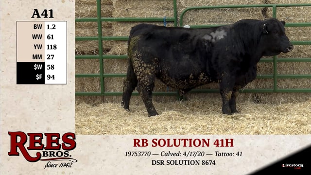 Lot #A41 - RB SOLUTION 41H