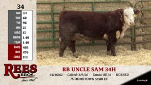 Lot #34 - RB UNCLE SAM 34H