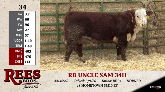 Lot #34 - RB UNCLE SAM 34H
