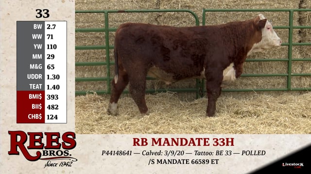 Lot #33 - RB MANDATE 33H