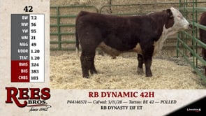 Lot #42 - RB DYNAMIC 42H
