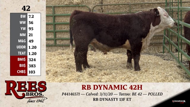 Lot #42 - RB DYNAMIC 42H