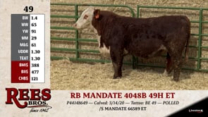 Lot #49 - RB MANDATE 4048B 49H ET