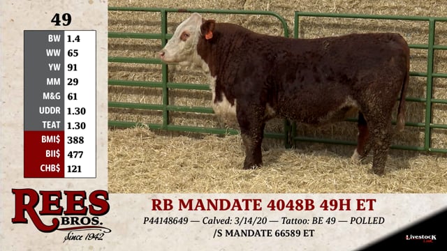 Lot #49 - RB MANDATE 4048B 49H ET