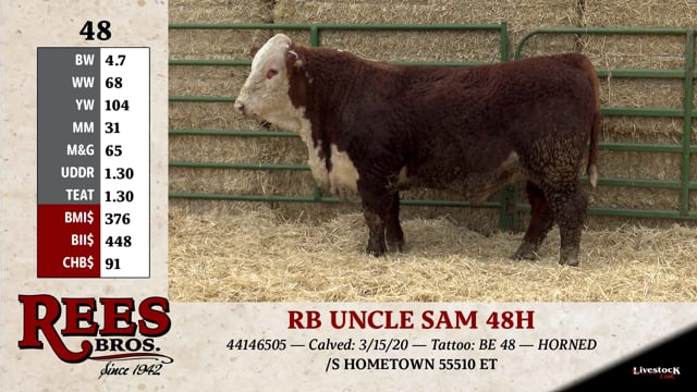 Lot #48 - RB UNCLE SAM 48H