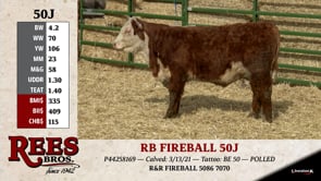 Lot #50J - RB FIREBALL 50J