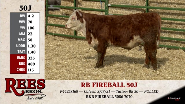 Lot #50J - RB FIREBALL 50J