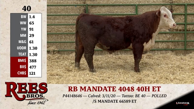 Lot #40 - RB MANDATE 4048 40H ET