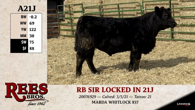 Lot #A21J - RB SIR LOCKED IN 21J
