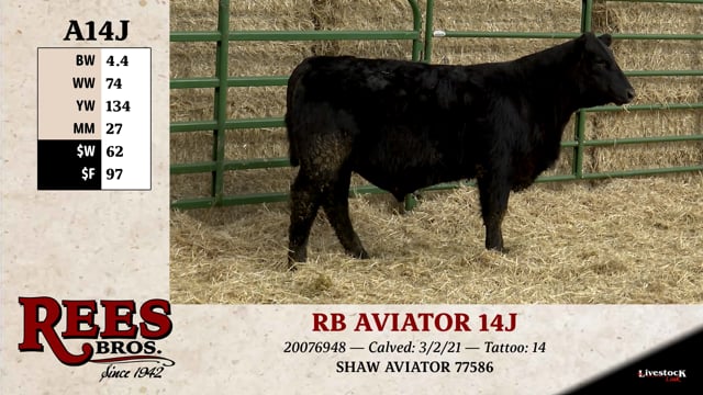 Lot #A14J - RB AVIATOR 14J