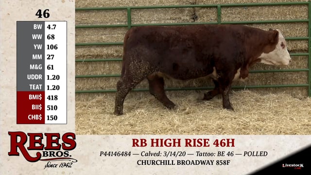 Lot #46 - RB HIGH RISE 46H