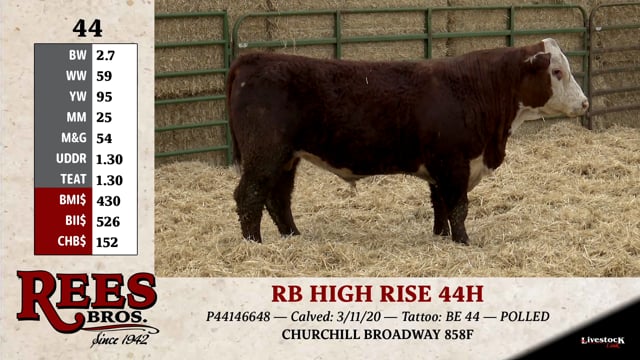 Lot #44 - RB HIGH RISE 44H