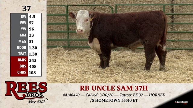 Lot #37 - RB UNCLE SAM 37H