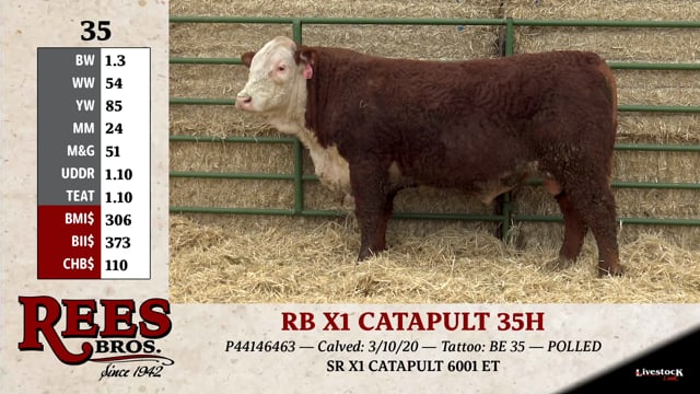 Lot #35 - RB X1 CATAPULT 35H