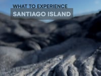 Santiago Island - Galapagos with G Adventures