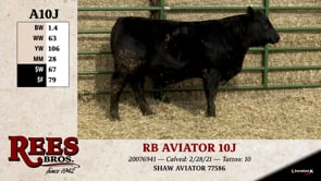 Lot #A10J - RB AVIATOR 10J
