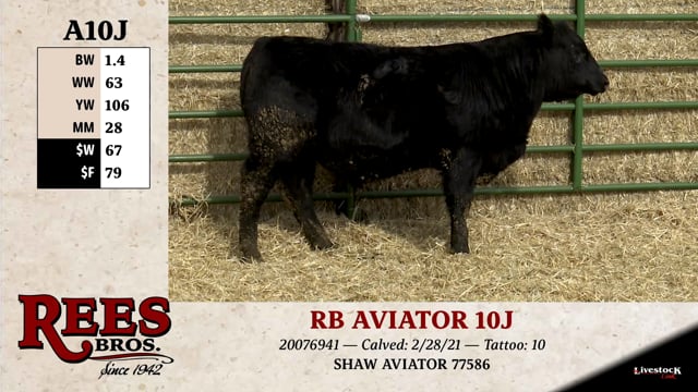 Lot #A10J - RB AVIATOR 10J