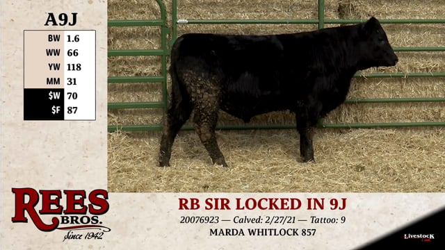 Lot #A9J - RB SIR LOCKED IN 9J