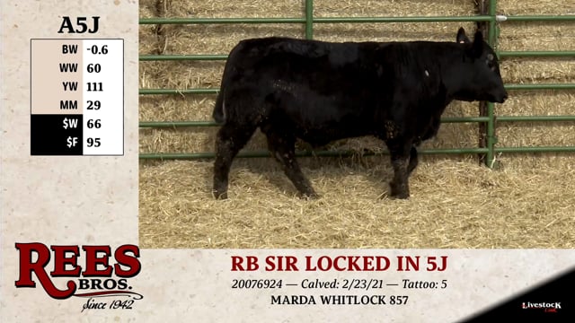 Lot #A5J - RB SIR LOCKED IN 5J