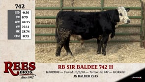 Lot #742 - RB SIR BALDEE 742 H