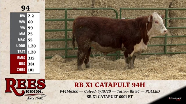 Lot #94 - RB X1 CATAPULT 94H