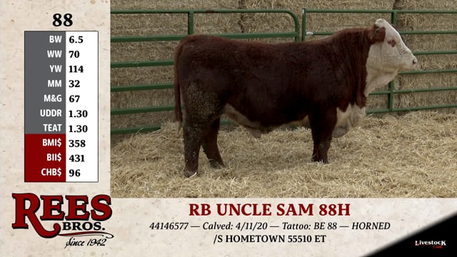 Lot #88 - RB UNCLE SAM 88H