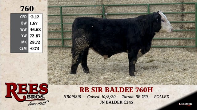 Lot #760 - RB SIR BALDEE 760H