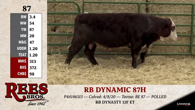 Lot #87 - RB DYNAMIC 87H