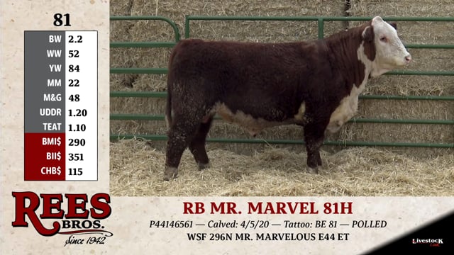 Lot #81 - RB MR. MARVEL 81H
