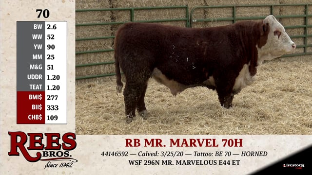 Lot #70 - RB MR. MARVEL 70H