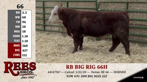 Lot #66 - RB BIG RIG 66H