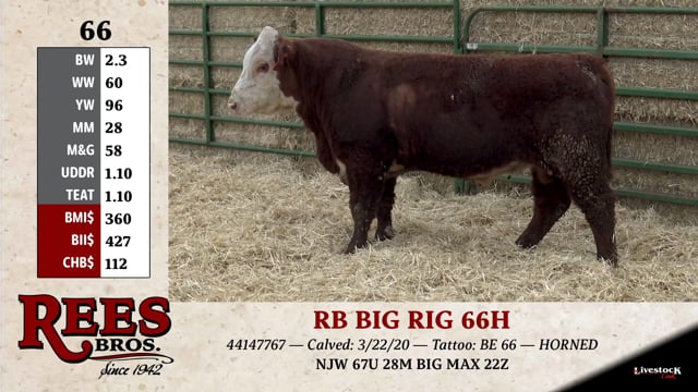 Lot #66 - RB BIG RIG 66H