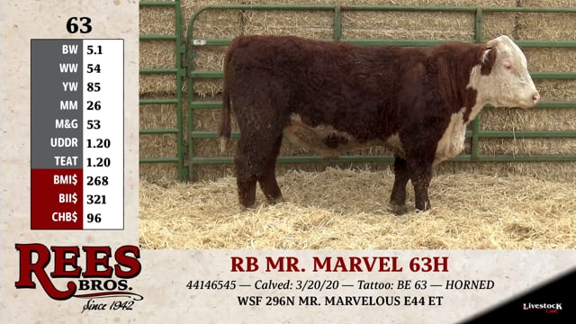 Lot #63 - RB MR. MARVEL 63H
