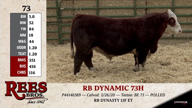 Lot #73 - RB DYNAMIC 73H