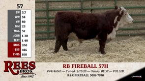 Lot #57 - RB FIREBALL 57H