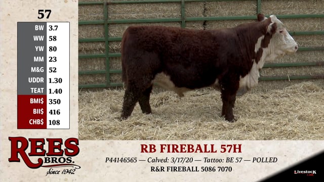 Lot #57 - RB FIREBALL 57H