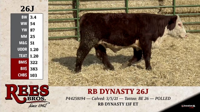 Lot #26J - RB DYNASTY 26J