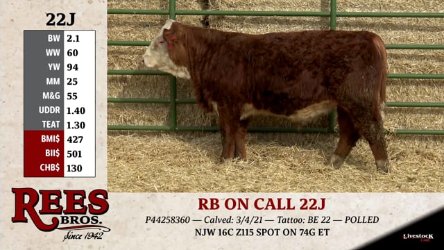 Lot #22J - RB ON CALL 22J