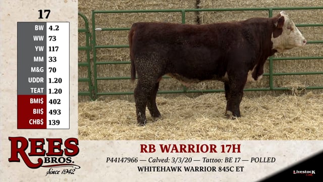 Lot #17 - RB WARRIOR 17H