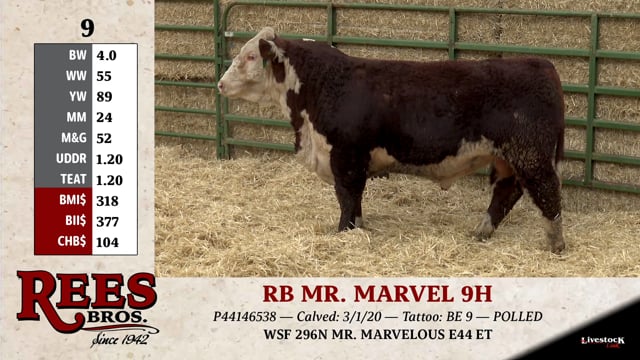 Lot #9 - RB MR. MARVEL 9H
